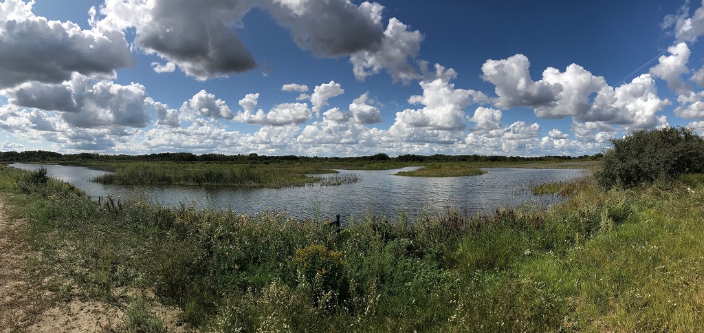 A perfect prairie sky meets lush wetland at DUC’s Battlefords Project.